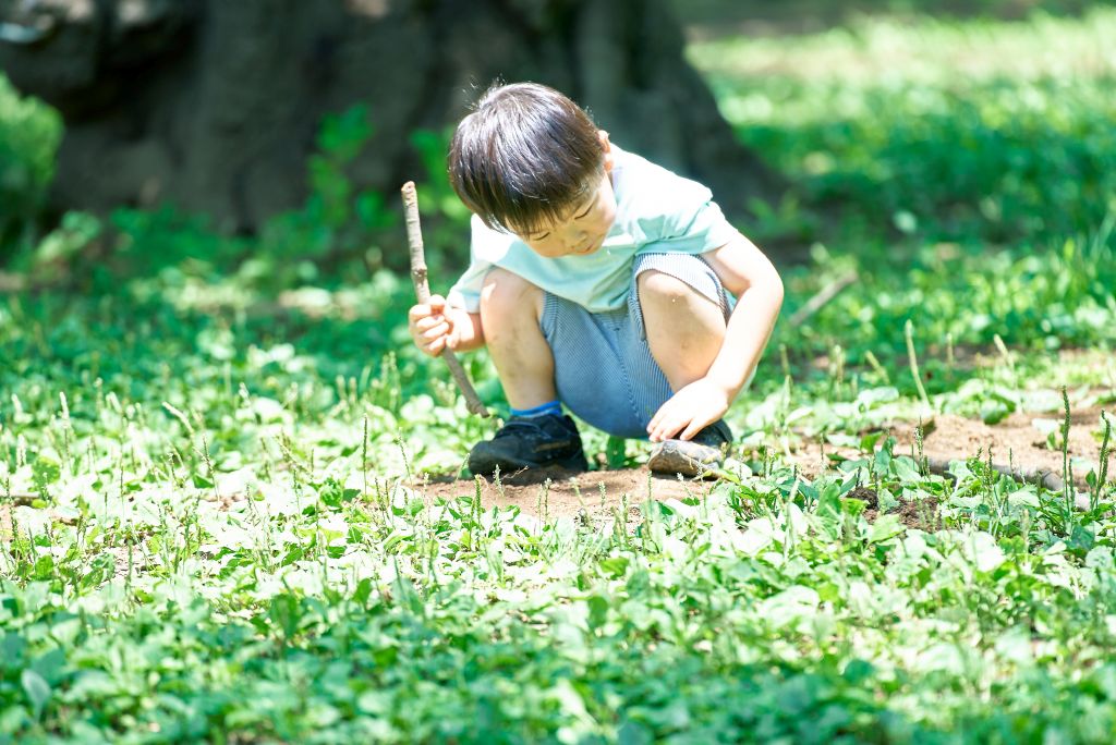 https://www.hokto-kinoko.co.jp/kinokolabo/child-ability/300934/